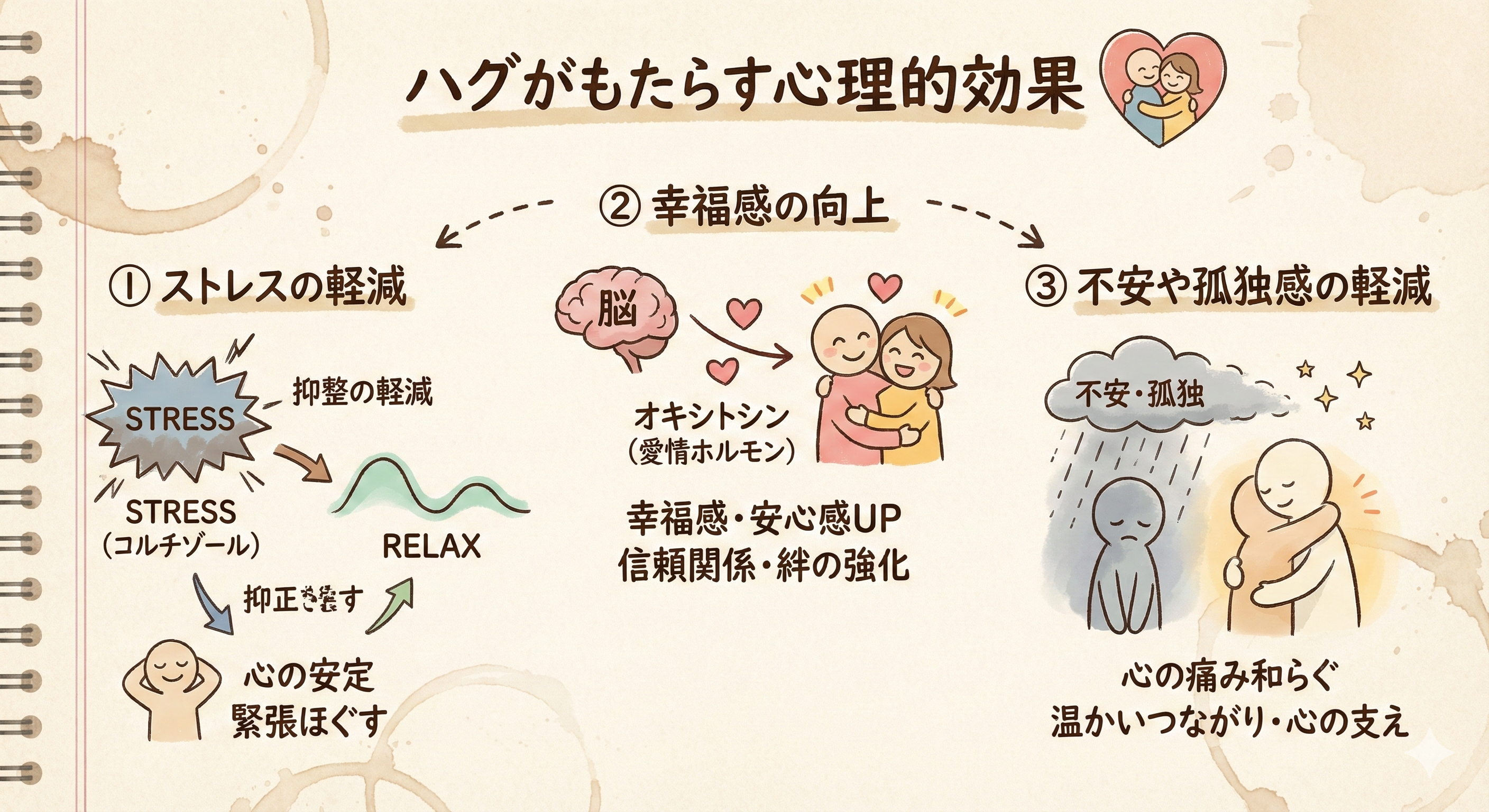 【効果絶大!】ハグ(抱擁)が心と体に与える6つの影響 - ハグを甘く見てはいけない。 5 ハグがもたらす心理的効果
ストレスの軽減
ハグをすることで、ストレスホルモンであるコルチゾールの分泌が抑えられることが知られています。コルチゾールは、ストレスを感じると体内で増加するホルモンですが、ハグを通じてその分泌が抑制され、結果としてリラックスを促進します。ハグは心を落ち着かせ、体の緊張をほぐすため、ストレスの多い状況においても心の安定を保ちやすくなります。研究によれば、頻繁にハグをする人は、ストレスに対する耐性が高く、日常生活においても落ち着いた対応ができるという結果が示されています。
幸福感の向上
ハグは「愛情ホルモン」とも呼ばれるオキシトシンの分泌を促進します。オキシトシンは、幸福感や安心感を感じさせるホルモンであり、親密な関係や信頼を築く上で重要な役割を果たします。例えば、家族や親しい友人とハグをすることで、両者の間に強い信頼関係が築かれます。さらに、オキシトシンの増加は、ストレスを抑える効果もあり、ハグをすることで、自然に幸福感が高まり、人間関係の絆が強化されます。
不安や孤独感の軽減
ハグは、心の痛みや不安感、孤独感を和らげる効果もあります。特に孤独を感じているときや不安な状況に置かれたときにハグを交わすことで、心が落ち着き、孤独感が軽減されることが報告されています。ハグは単なるスキンシップではなく、相手との温かいつながりを感じさせ、心の支えとなります。この感覚は、孤独を感じる人々にとって、非常に重要な心理的安定をもたらすことができます。