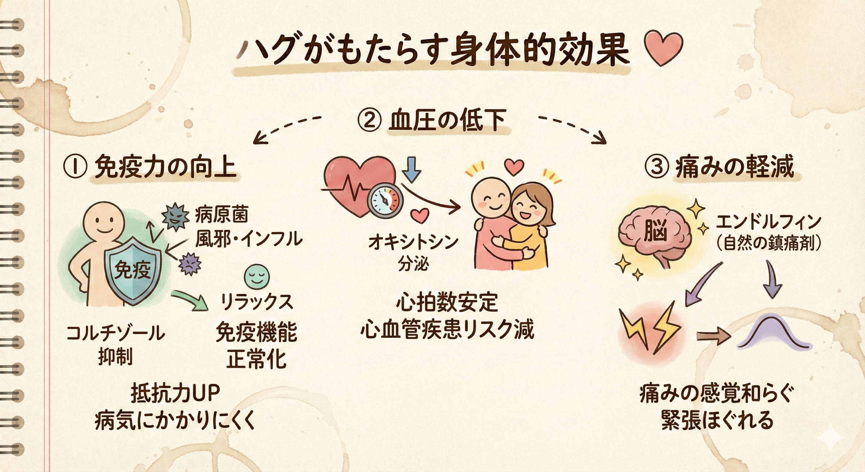 【効果絶大!】ハグ(抱擁)が心と体に与える6つの影響 - ハグを甘く見てはいけない。 6 ハグがもたらす身体的効果
免疫力の向上
ハグが持つリラクゼーション効果は、免疫力の向上にも寄与します。具体的には、ハグをすることでストレスホルモンであるコルチゾールの分泌が抑えられ、リラックスした状態を促進します。ストレスが軽減されると、身体全体の免疫機能が正常に働くようになり、病原菌に対する抵抗力が高まります。ハグを日常的に行うことで、風邪やインフルエンザなどの病気にかかりにくくなる可能性があるという研究もあります。
血圧の低下
ハグは、心臓の健康にも良い影響を与えます。研究によれば、愛する人とハグをすることで、オキシトシンと呼ばれるホルモンが分泌され、これにより血圧が下がり心拍数が安定することがわかっています。オキシトシンは「幸せホルモン」とも呼ばれ、心の安らぎをもたらします。これにより、ハグは心血管疾患のリスクを減らすことができる可能性があります。定期的にハグを取り入れることは、心臓の健康を守るための簡単で効果的な方法です。
痛みの軽減
驚くべきことに、ハグには痛みを和らげる効果もあります。身体的な接触を通じて、脳内でエンドルフィンが分泌され、痛みの感覚が和らぐことがあります。このエンドルフィンは自然の鎮痛剤として働き、ストレスや不安を軽減させ、心をリラックスさせます。痛みを感じているときにハグをすることで、心と体の緊張がほぐれ、痛みの軽減が期待できます。特にストレスが原因で痛みを感じる場合、ハグは効果的です。