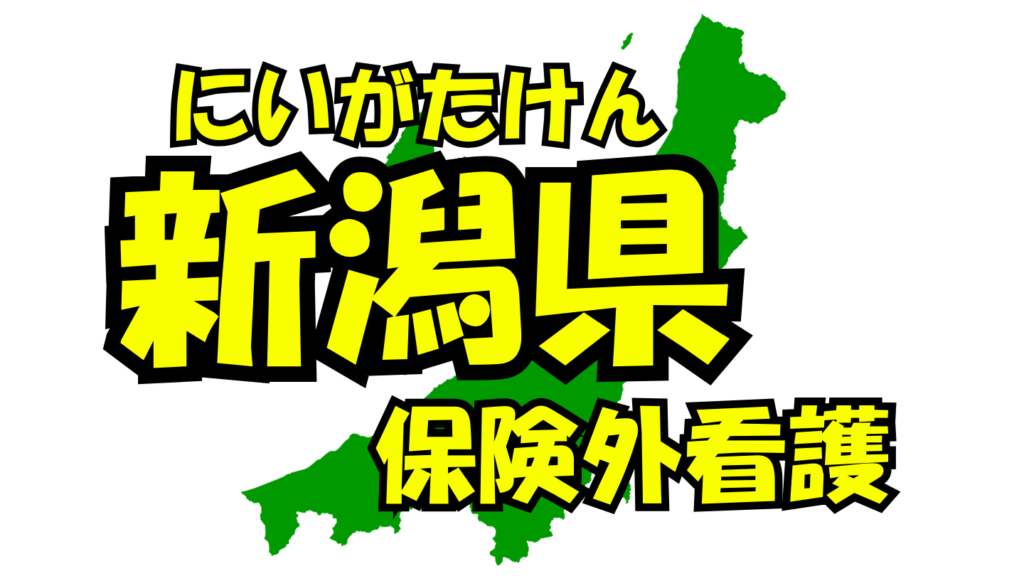 新潟県の保険外/自費看護・介護サービス一覧・比較・絞り込み検索