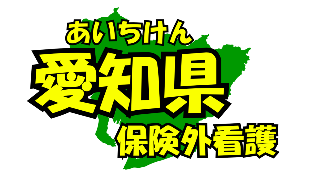 愛知県の保険外/自費看護・介護サービス一覧・比較・絞り込み検索