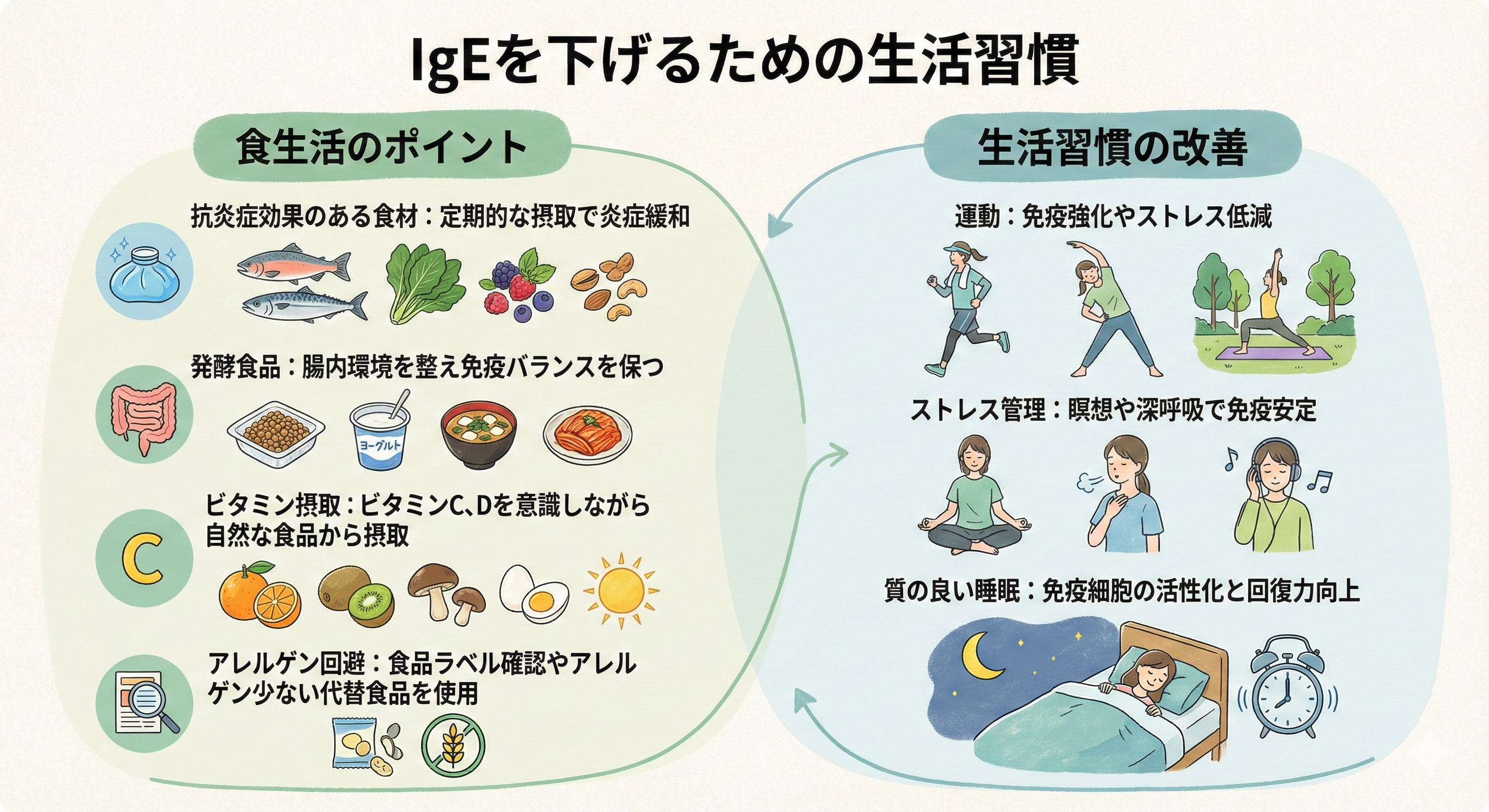 IgEを下げるための生活習慣

抗炎症効果のある食材：定期的な摂取で炎症緩和

発酵食品：腸内環境を整え免疫バランスを保つ

ビタミン摂取：ビタミンC、Dを意識しながら自然な食品から摂取

アレルゲン回避：食品ラベル確認やアレルゲン少ない代替食品を使用

生活習慣の改善

運動：免疫強化やストレス低減

ストレス管理：瞑想や深呼吸で免疫安定

質の良い睡眠：免疫細胞の活性化と回復力向上