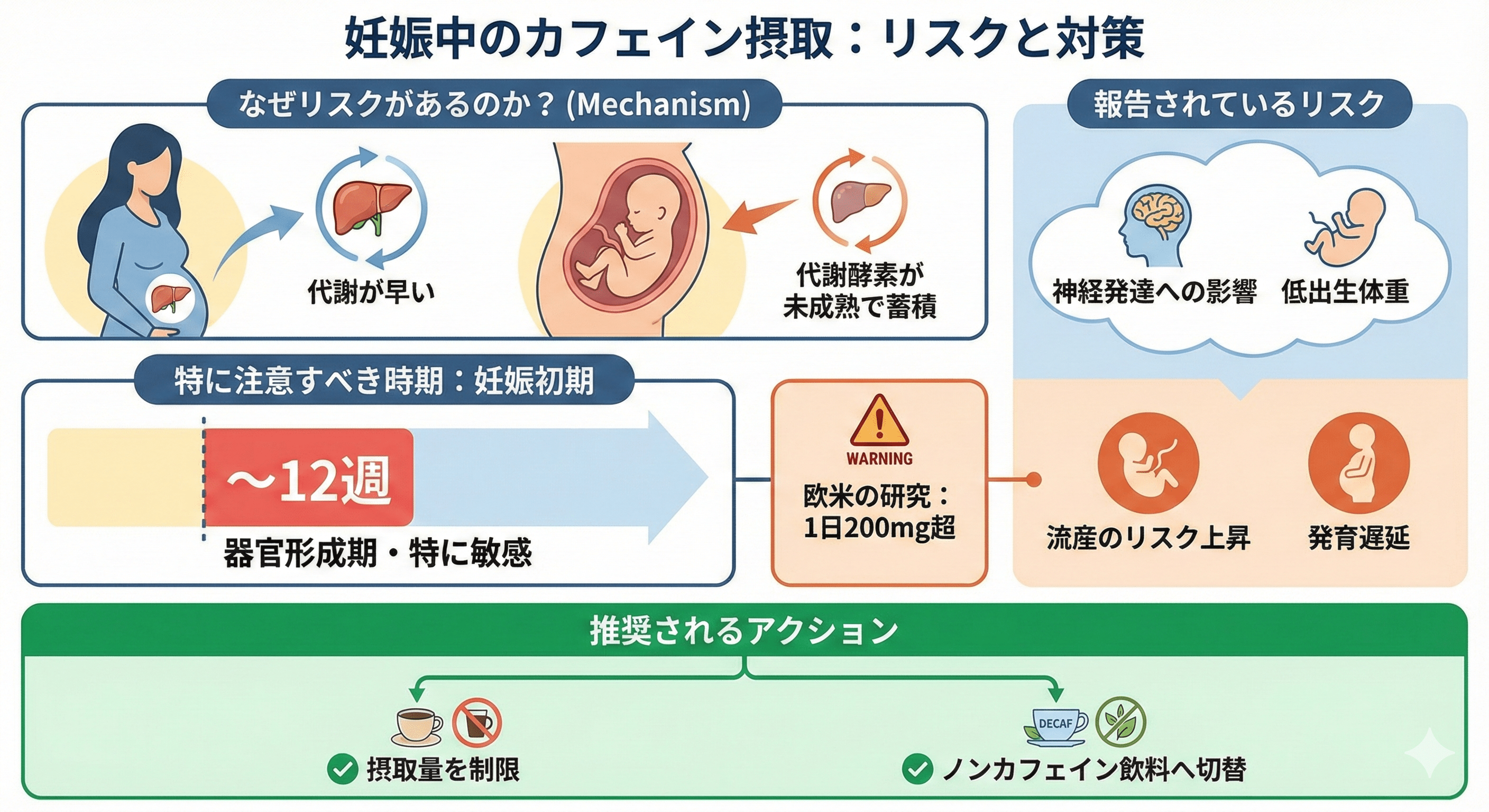 胎児や新生児はカフェインを代謝する酵素が未成熟であるため、神経発達への影響や低出生体重のリスクが報告されています。 欧米の研究では、1日200mgを超えるカフェイン摂取が流産や発育遅延のリスク上昇と関連する可能性が指摘されています。 妊娠初期（〜12週）は器官形成期で特に敏感なため、カフェイン制限またはノンカフェイン飲料への切替が推奨されます。